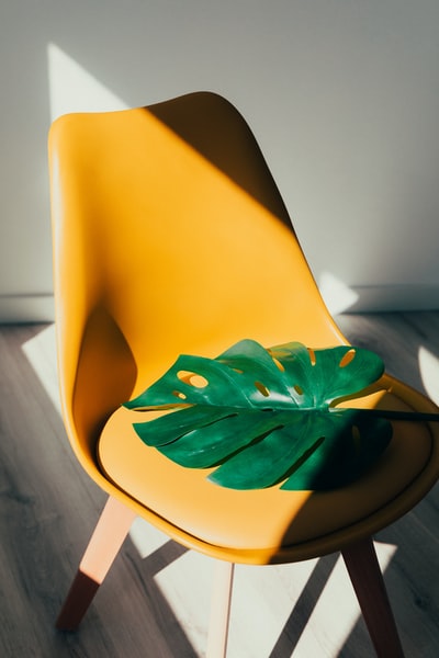 黄色椅子上的绿叶